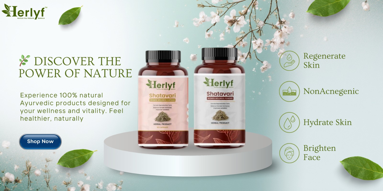 WhatsApp Image 2025-11-12 at 3.13.43 PM